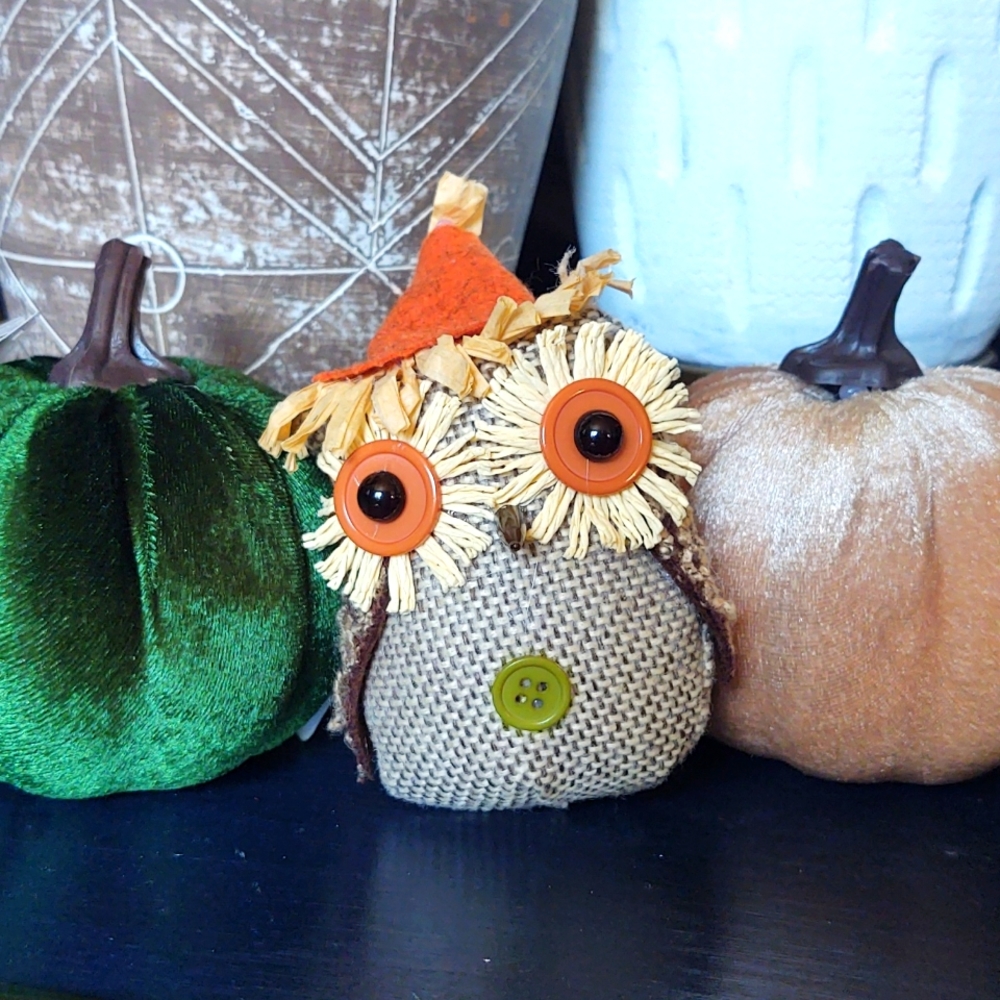 Adorable Little Fabric Owl and Velvet Pumpkins Set.